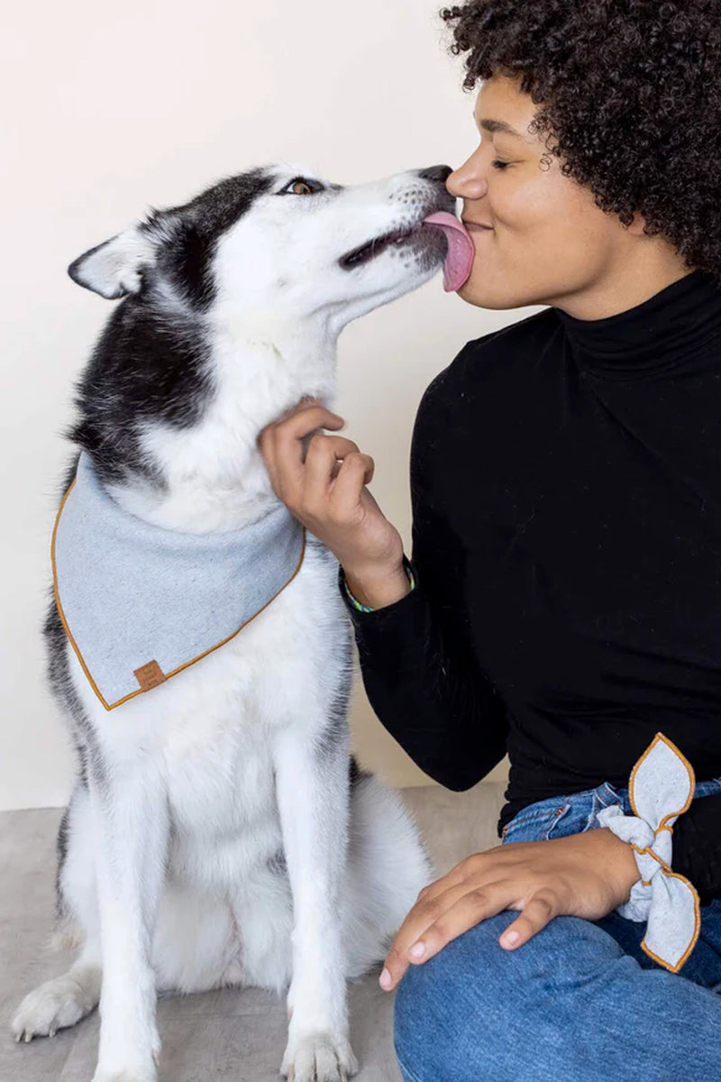 Upcycled Denim Dog Bandana