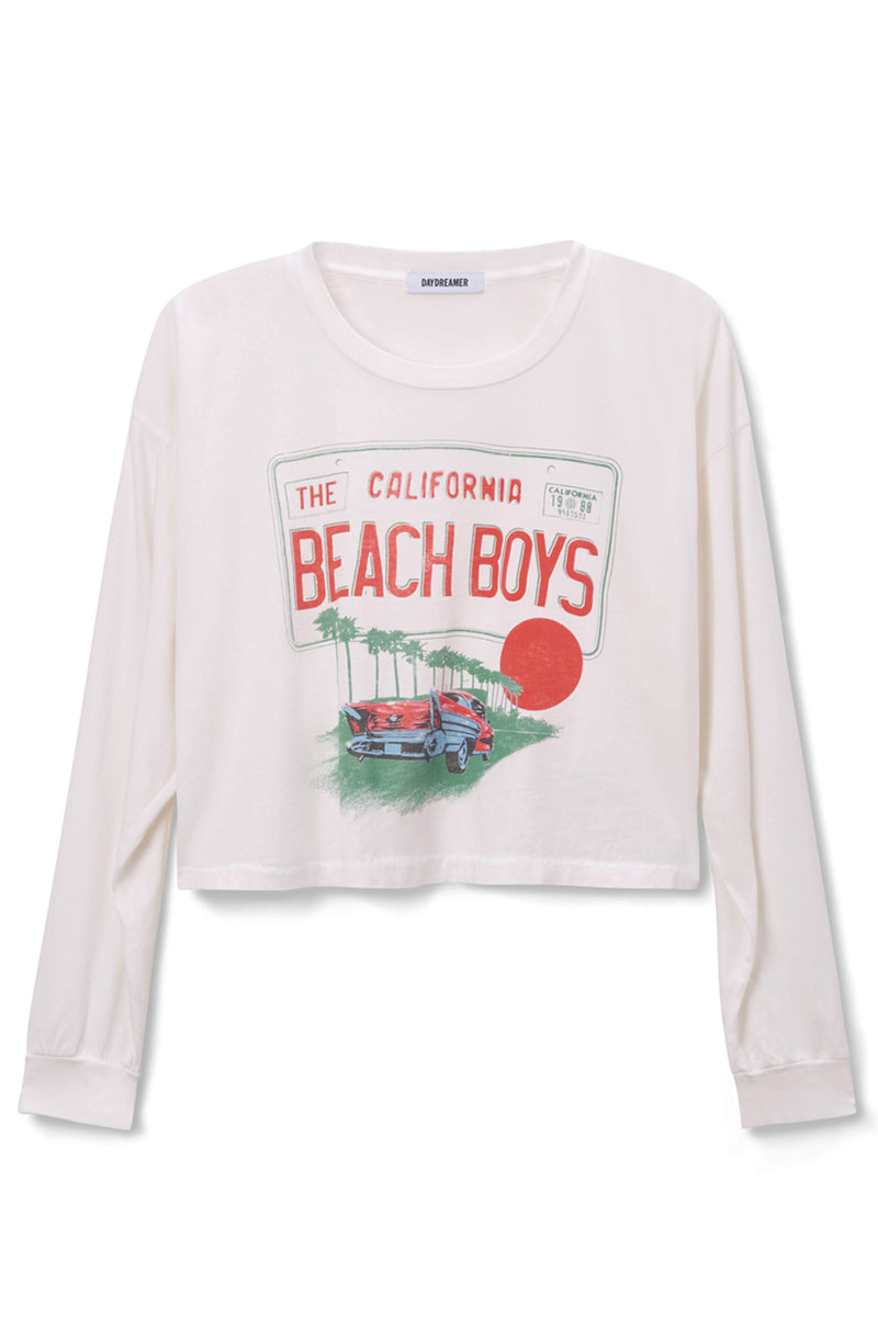 The Beach Boys License Plate Crop LS Merch
