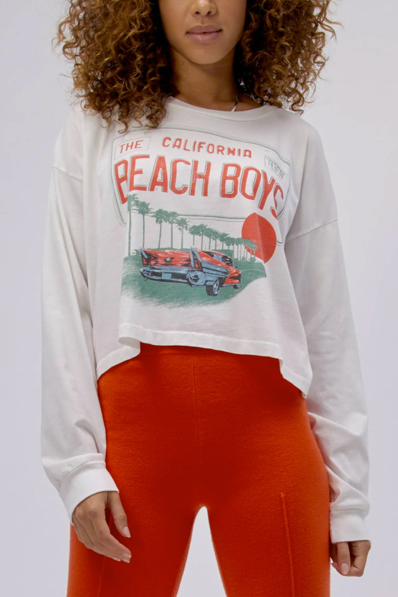 The Beach Boys License Plate Crop LS Merch