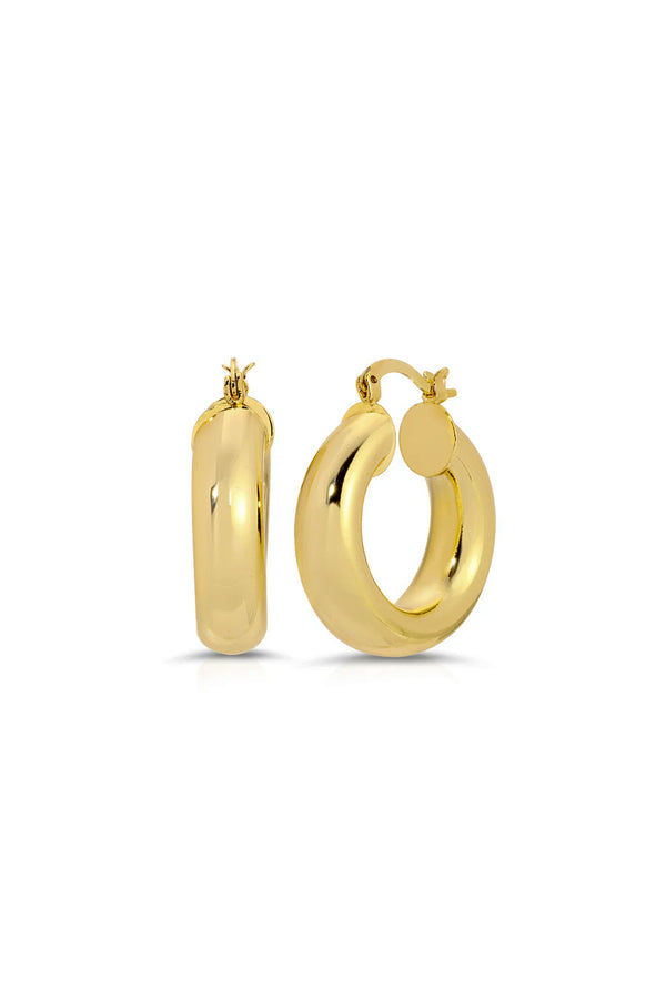 Blake Thick Hoops
