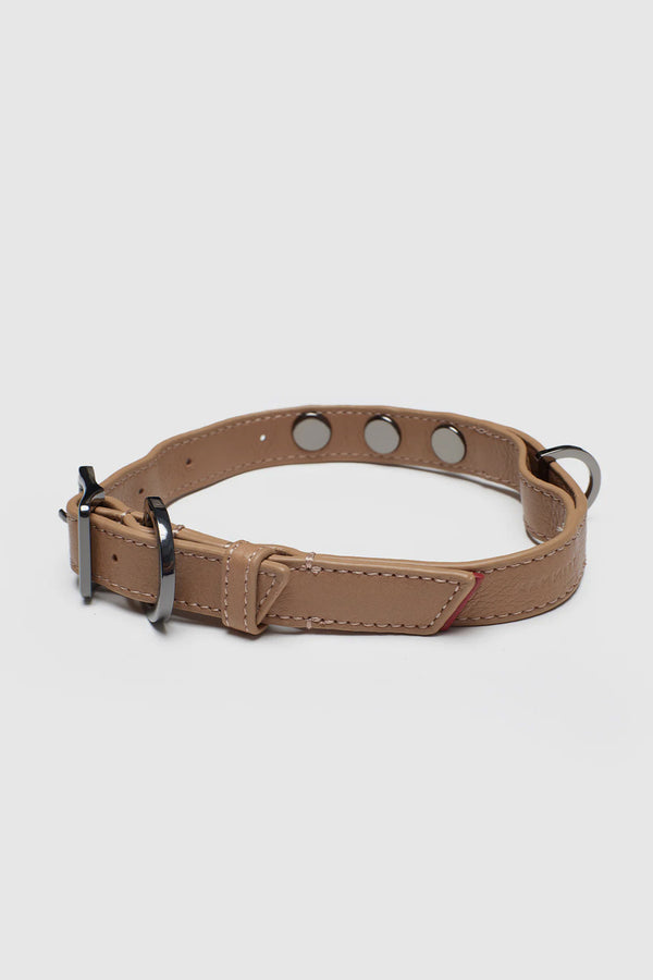 Cam Dog Collar MED