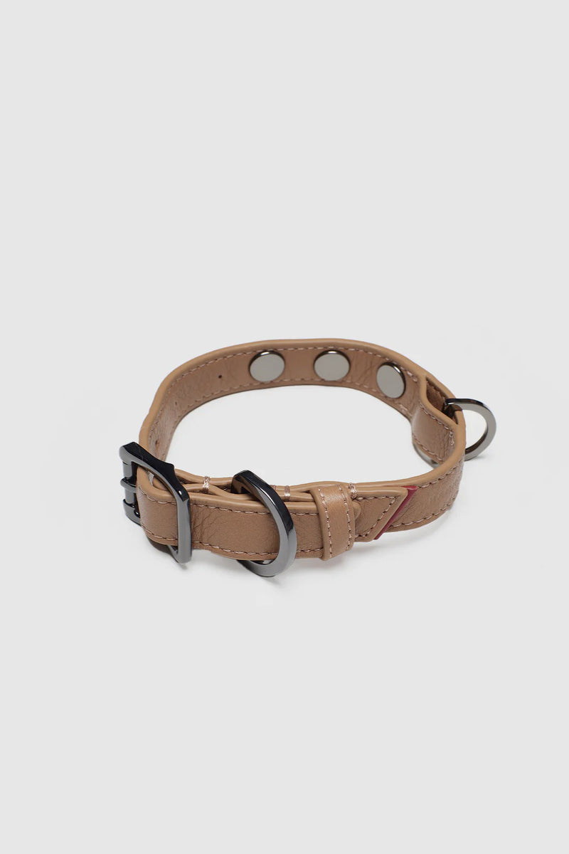 Cam Dog Collar SML