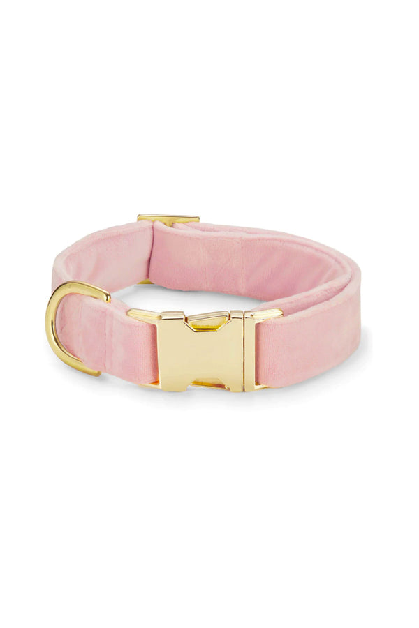 Blush Pink Velvet Dog Collar