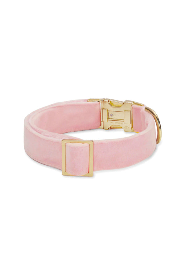 Blush Pink Velvet Dog Collar