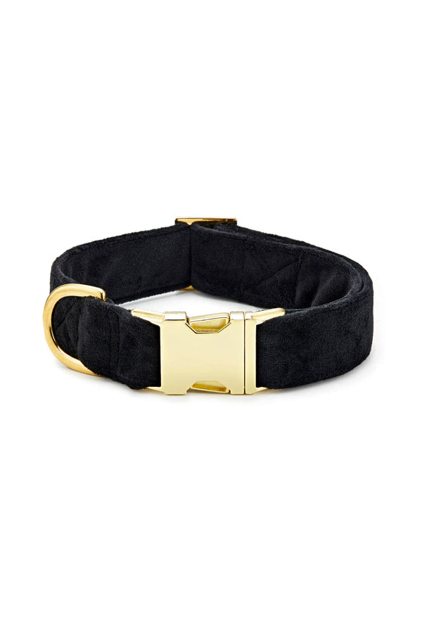 Black Velvet Dog Collar