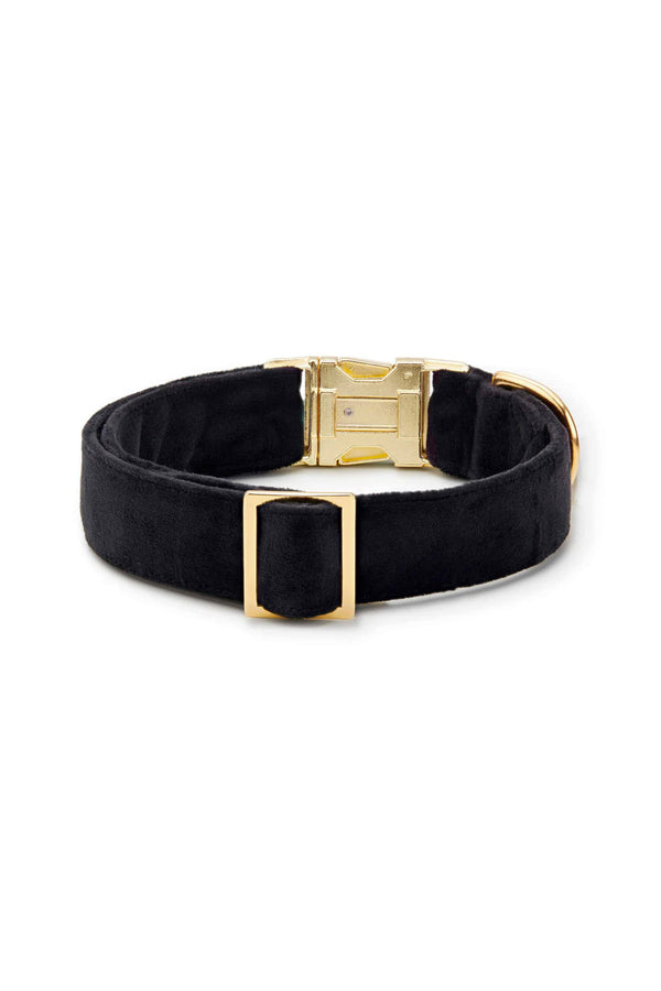 Black Velvet Dog Collar