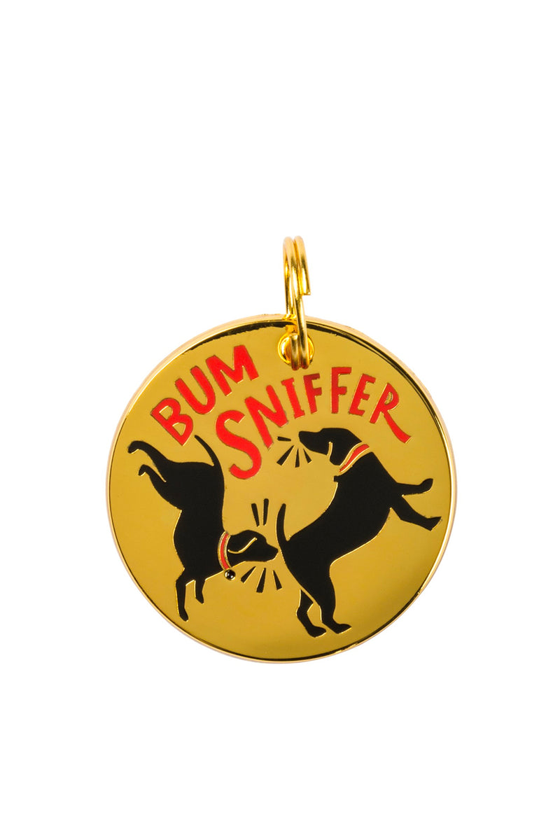 Collar Charms