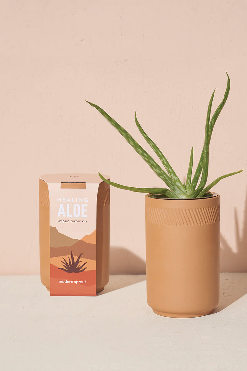 Terracotta Grow Kits