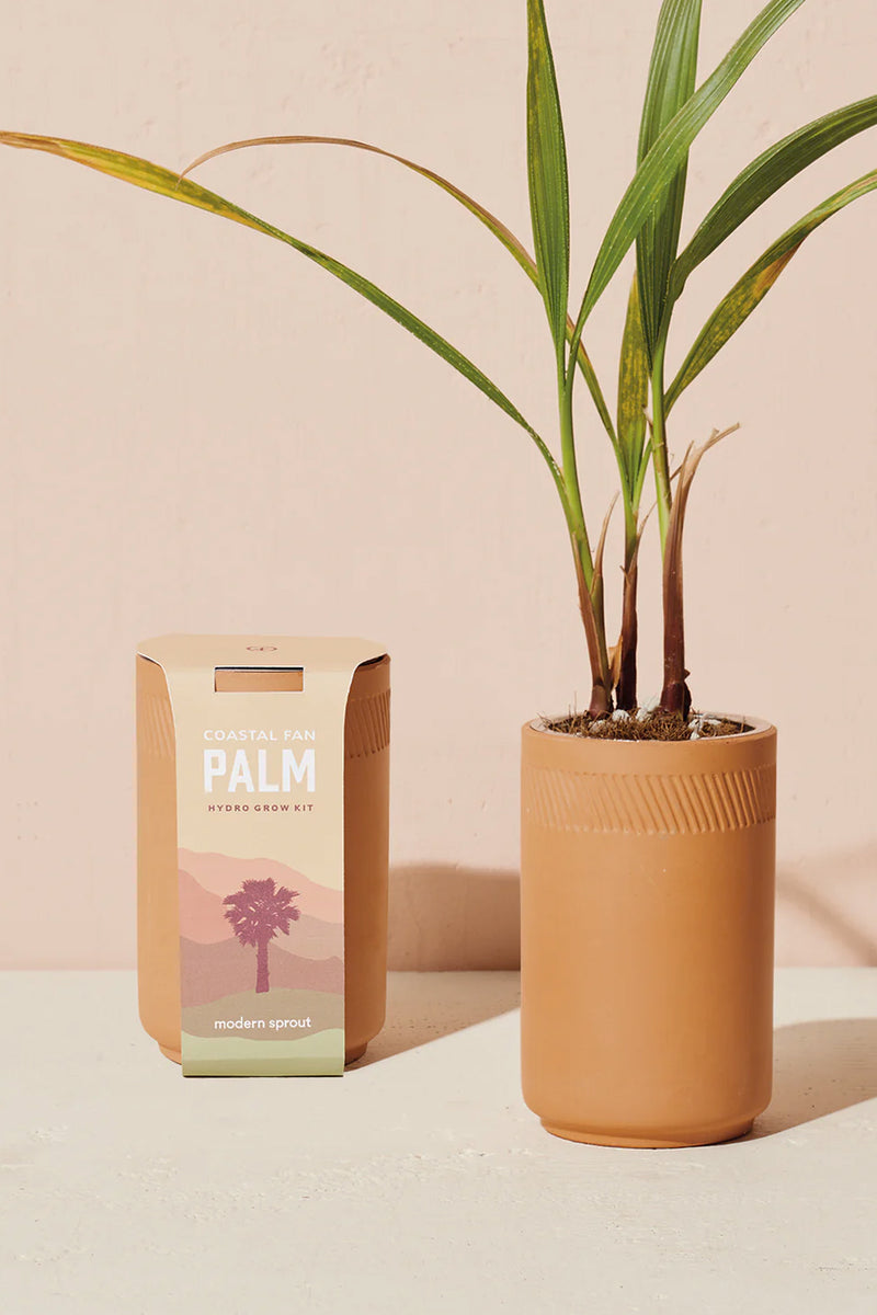Terracotta Grow Kits