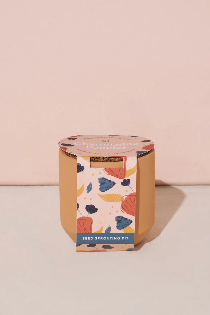 Tiny Terracotta Kits