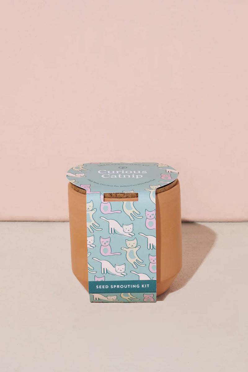 Tiny Terracotta Kits